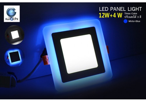 IWACHI-PN-CO-12+4W-S-BL